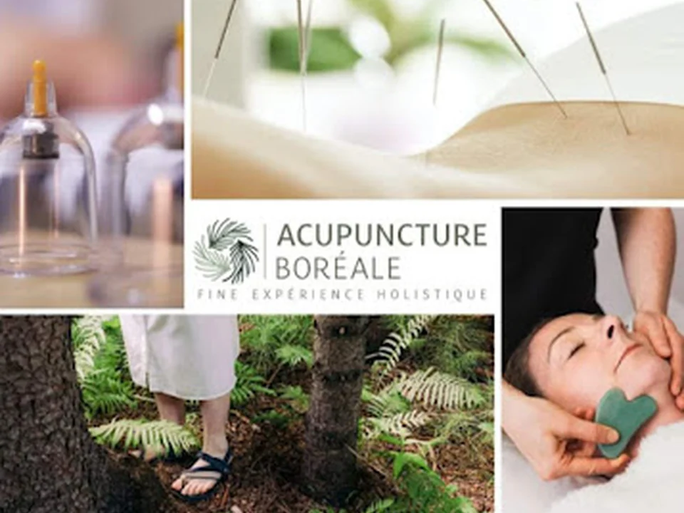 Acupuncture Boréale (Catherine Gosselin)