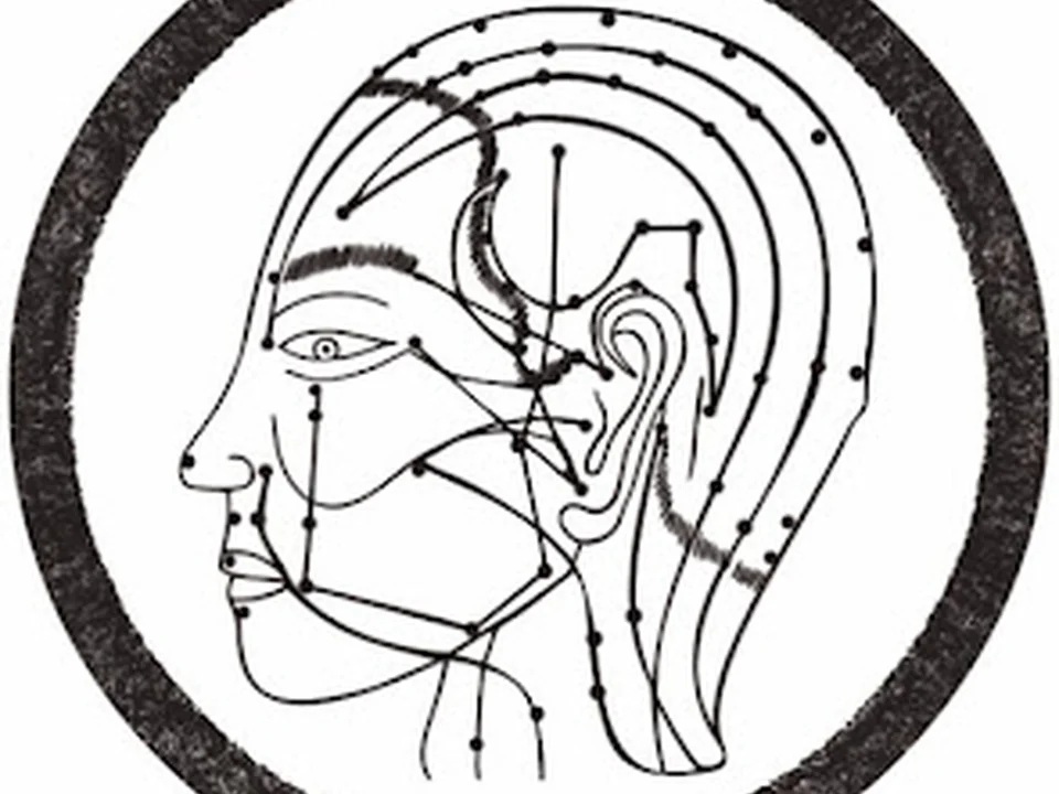 Foto de Acupuncture Francis Boucher