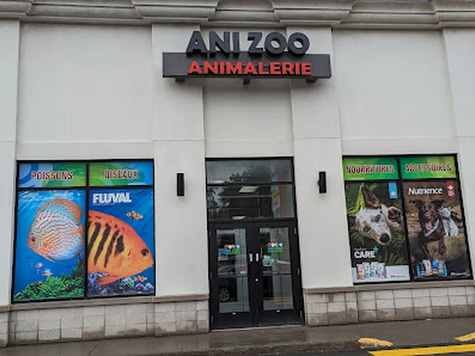 Anizoo