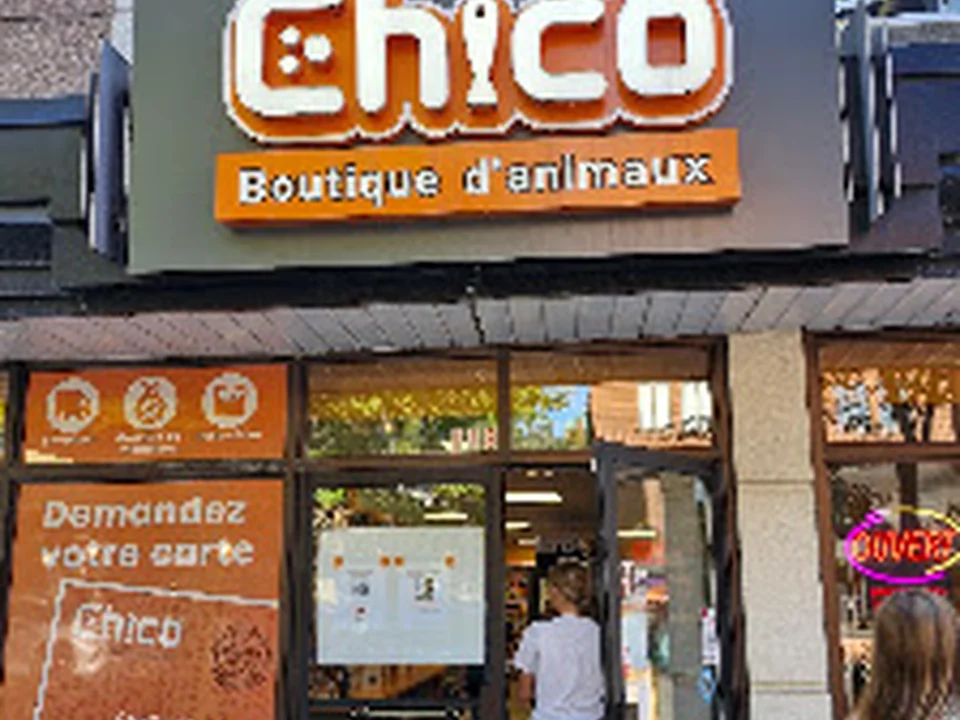 Chico - Boutique d'animaux