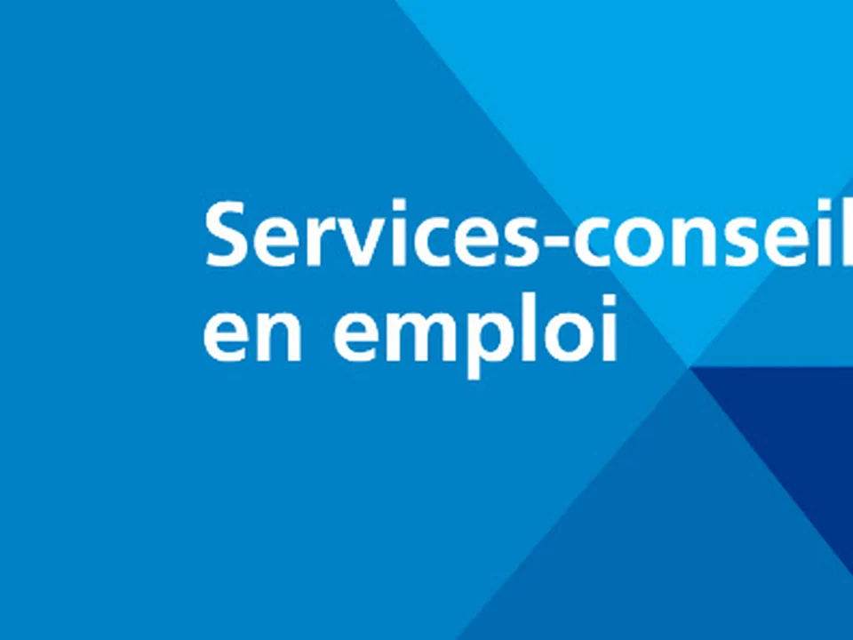 GIT Services-conseils en emploi