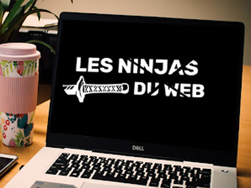 Les Ninjas du web