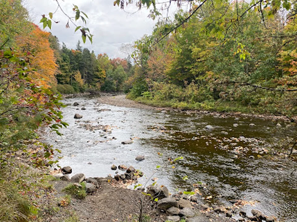 Parc Chauveau
