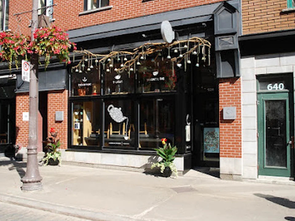Camellia Sinensis | Boutique, Québec