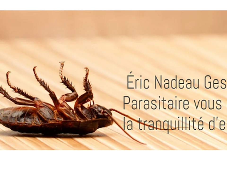 Éric Nadeau Gestion Parasitaire, Québec