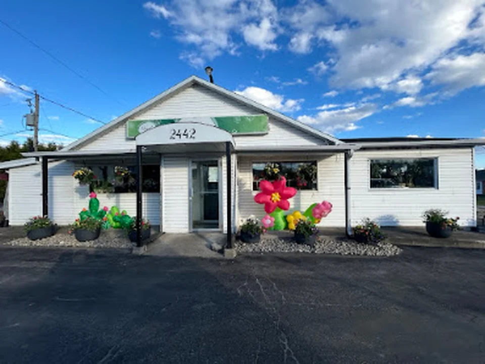 Fleuriste La Pousse Verte - Décora Fleurs, Québec