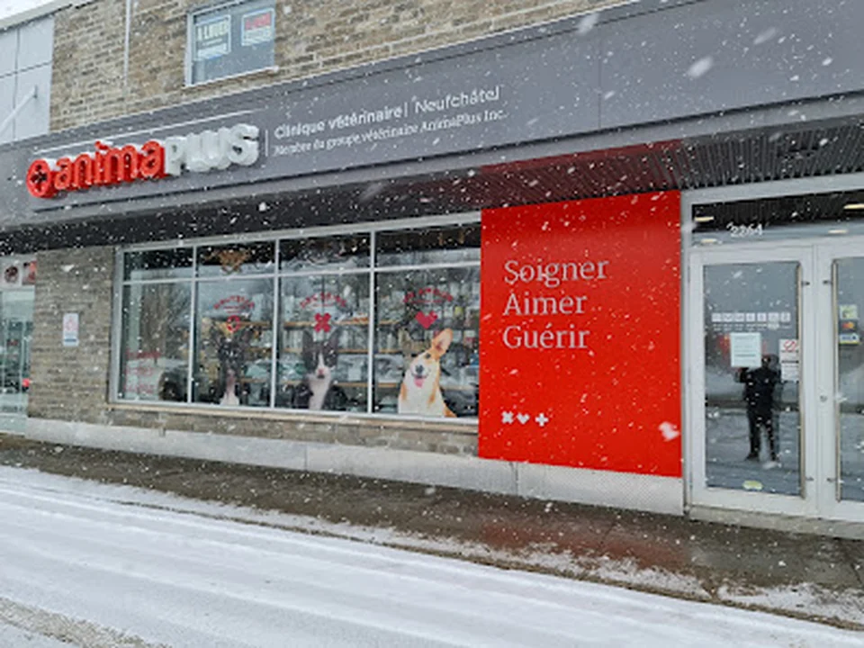 Clinique vétérinaire AnimaPlus Neufchâtel, Québec