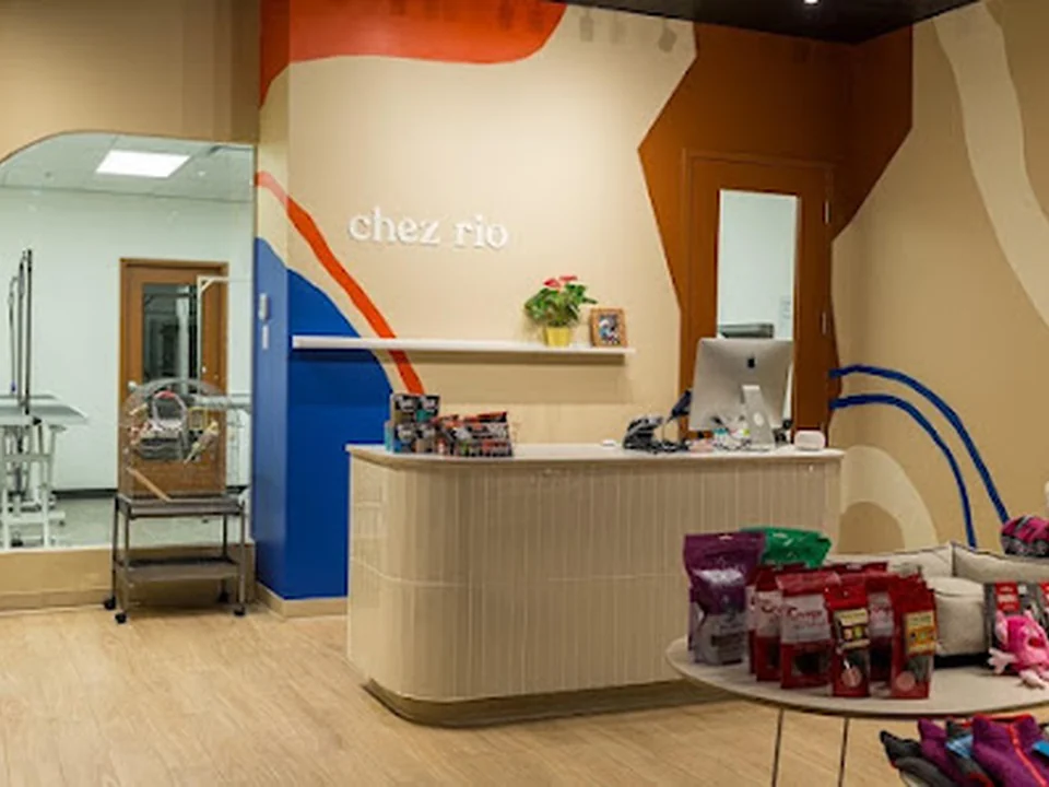 Chez Rio - Boutique et Toilettage, Québec