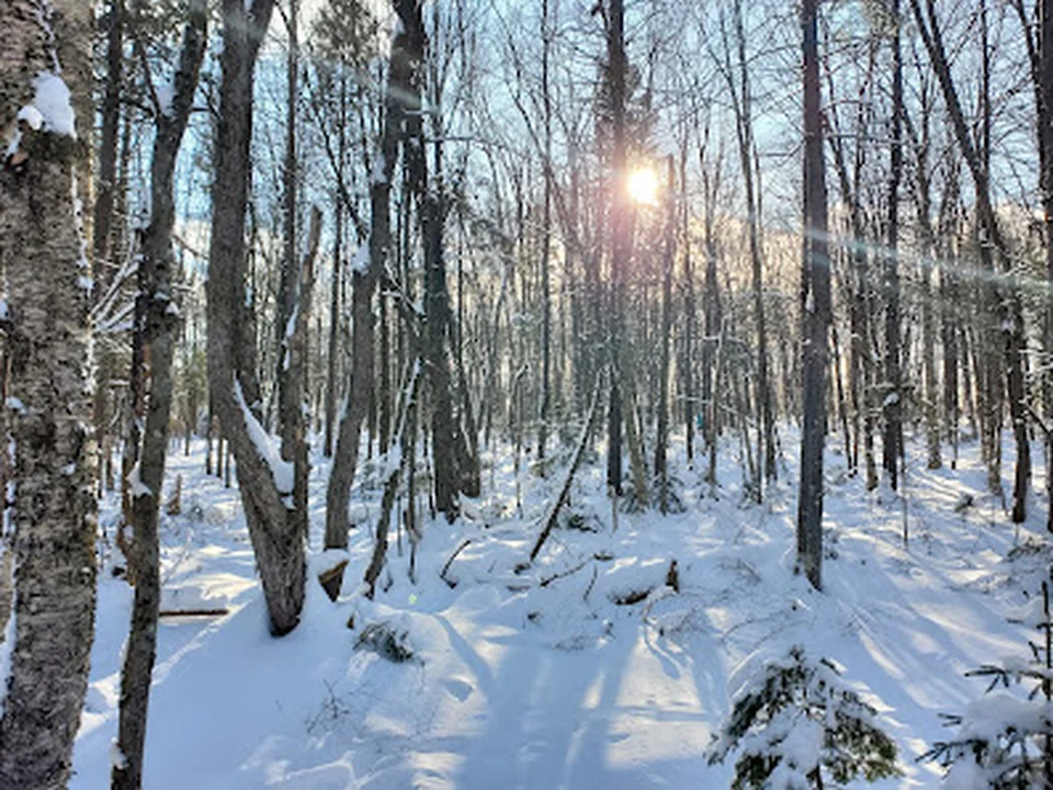 Parc Montchâtel, Québec