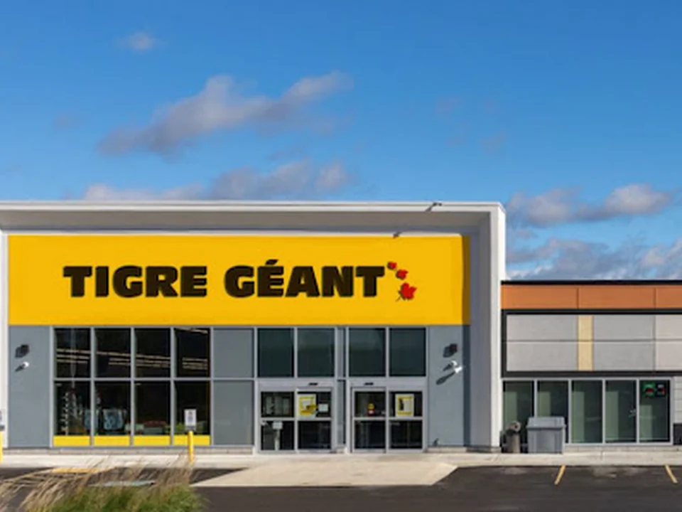Tigre Géant, Québec