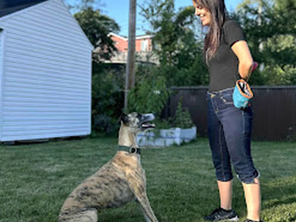 Optima Canin - Éducation et Comportement Canin, Québec