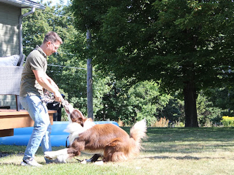Guévin Namies - Education canine à domicile, Québec