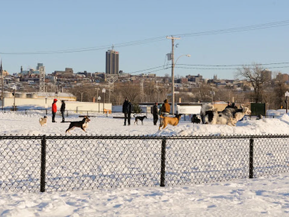 Parc canin de la Pointe-aux-Lièvres, Québec