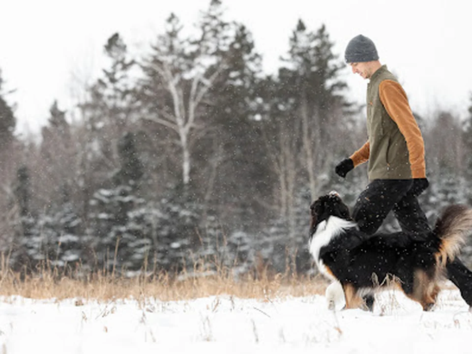 Heneli Solution Canine, Québec