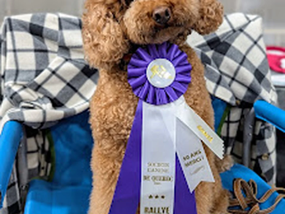 Société Canine de Québec Inc