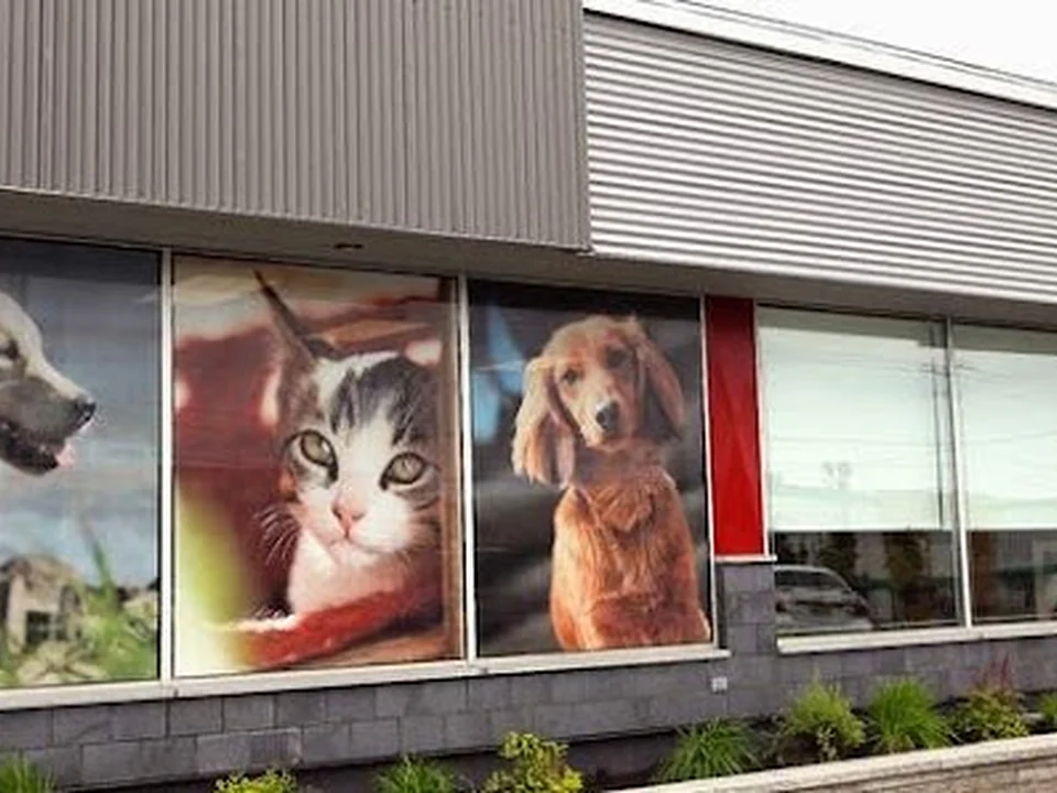Clinique Vétérinaire Hamel, Québec