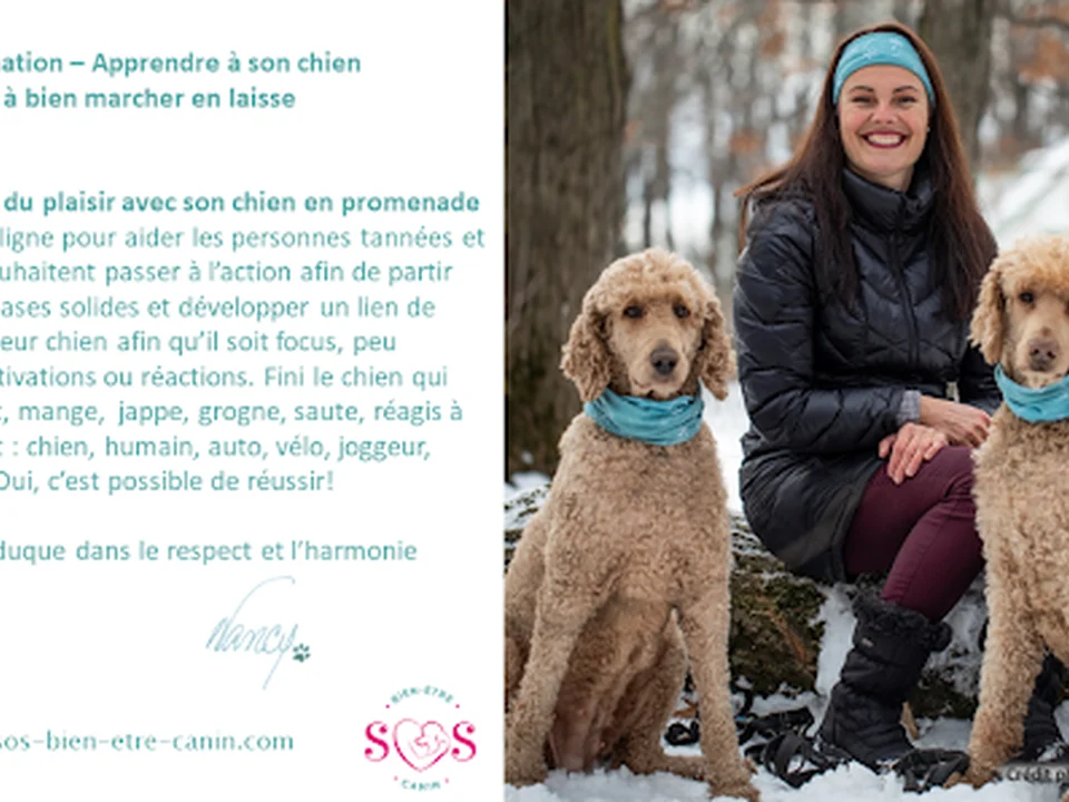 SOS Bien-Être Canin, Québec