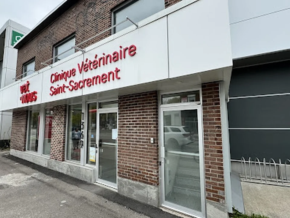 Clinique Vétérinaire Saint-Sacrement - Vet et Nous, Québec