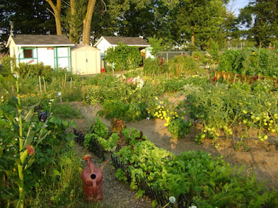 Jardin communautaire biologique de l'Université Laval (JCBUL), Québec
