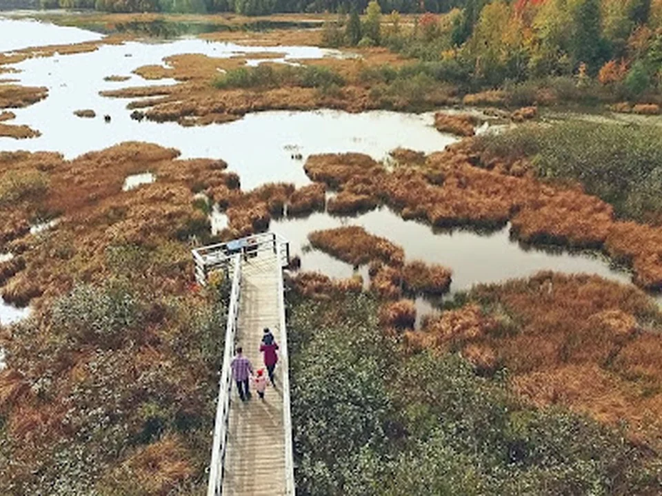 Marais du Nord, Québec