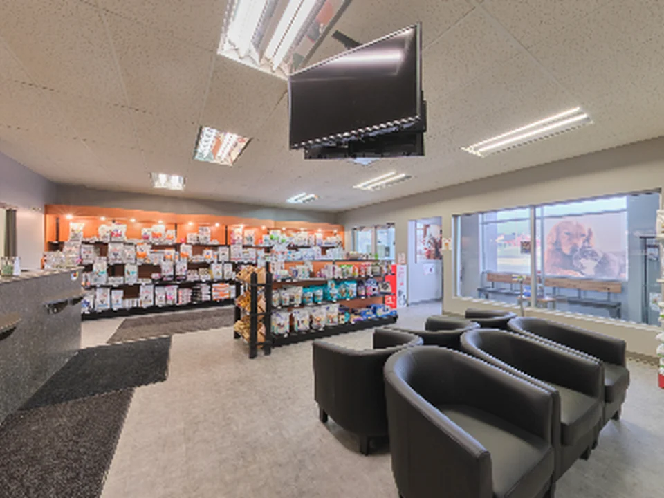 Hôpital Vétérinaire AnimaPlus Moffet, Québec