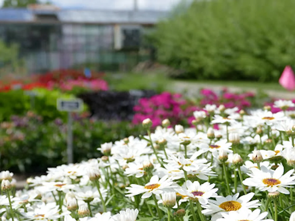 Jardin universitaire Roger Van den Hende, Québec