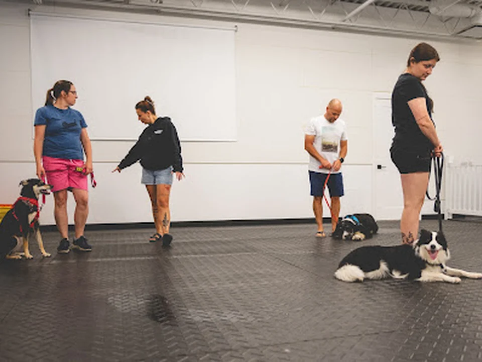 LP Canin - Éducation Canine à Québec