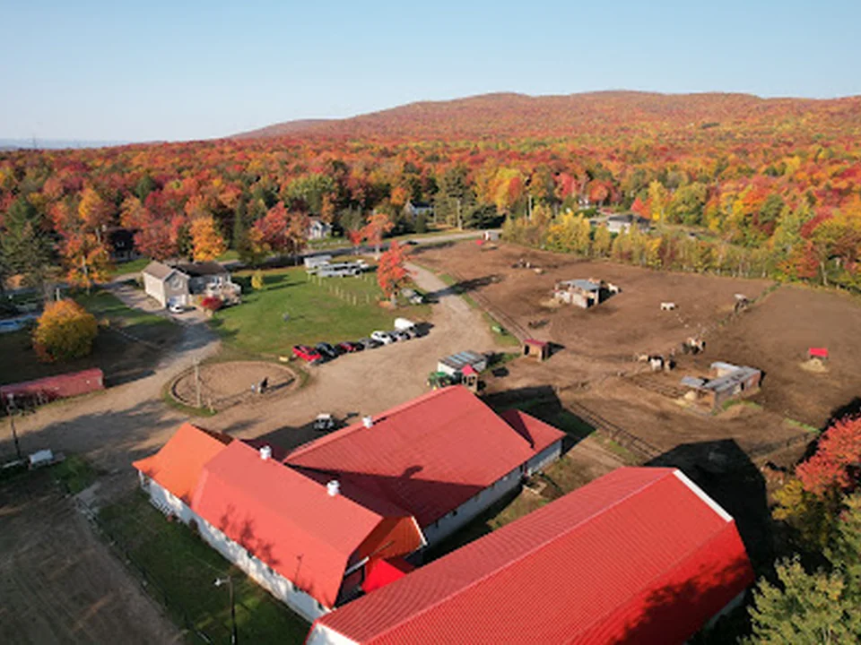 Écurie Bel-Air, Québec