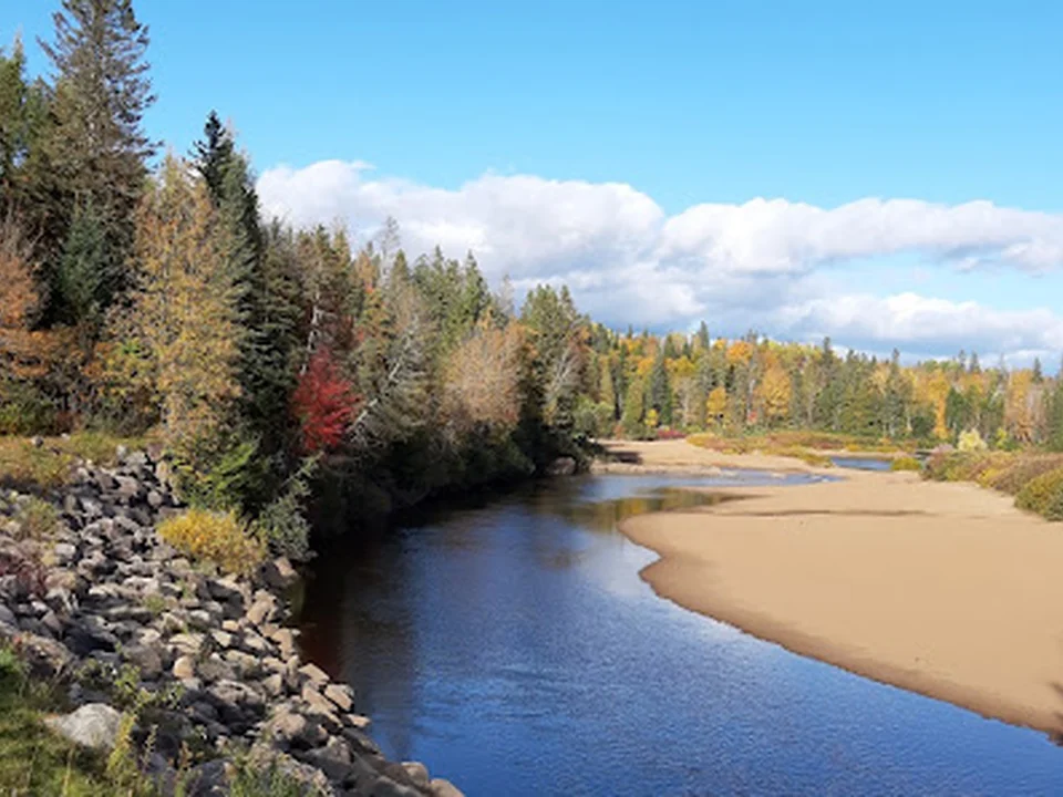 Parc canin, Québec